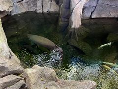 -青青世界