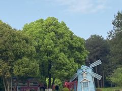 -铁山坪森林公园