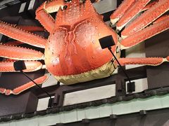 -蟹料理 札幌かに家(名古屋店)