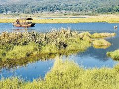 -腾冲北海湿地