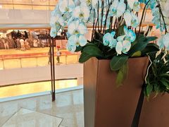 -上海世纪汇广场