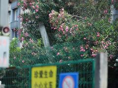 -南京晨光1865创意产业园