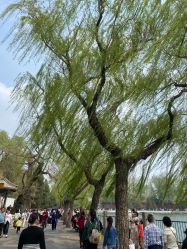 点击看大图 -美云庭古装·格格服汉服·京城旅拍(北京店)