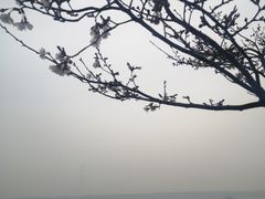 -幕燕滨江·长江观音景区