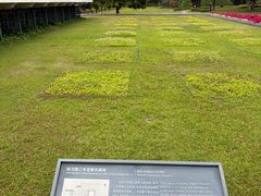 -南越王博物院(王宫展区)