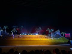 -三亚红色娘子军演艺公园景区
