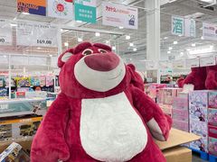 -洛阳郁金香牡丹园