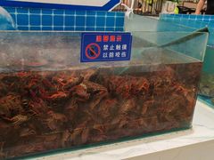 -集杰尚品海鲜烤肉火锅自助餐厅(经区九龙城店)