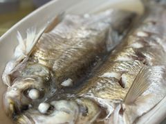 清蒸白丝鱼-芸海阁·农家私房菜(沙家浜景区出口店)
