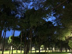 -天健公馆-停车场