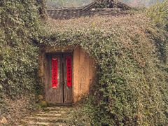 -杨家堂村