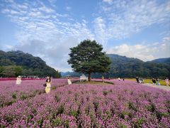 -广州市石门国家森林公园