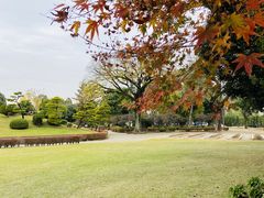 -水前寺成趣园