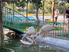 -水上乐园·欢乐世界