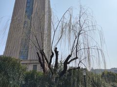 -黄兴公园