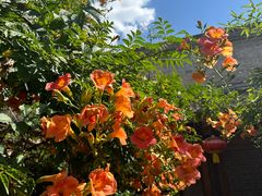 -胡氏古民居建筑