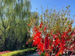 -太阳岛度假酒店