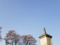 -西安青龙寺遗址景区