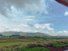 -光明小镇欢乐田园