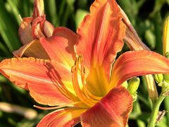 -汉长安城未央宫国家考古遗址公园