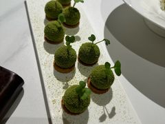 -荟廷·晶萃(陆家嘴尚悦湾店)