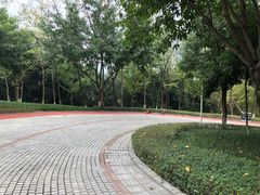-龙头寺公园