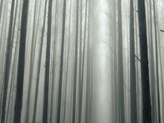 -山王坪喀斯特国家生态公园
