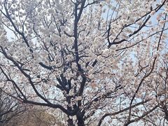 -锦州笔架山风景区