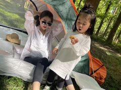 -黄海国家森林公园