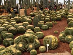 -南通洲际绿博园