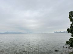 -深圳湾公园(南山区)
