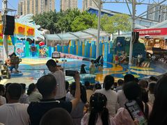 -海合安成都极地海洋公园