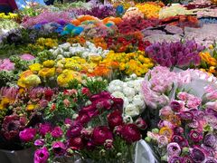 -双季花艺园艺市场(浦东店)
