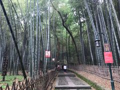 -杭州黄龙洞