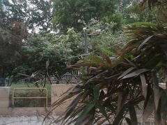 -北京港澳中心瑞士酒店·瑞士咖啡厅·自助餐