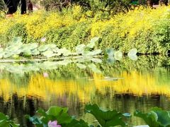 -贵友大厦(通州店)