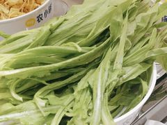 -农小锅自助小火锅(北京大兴凯德店)
