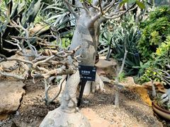 -国家植物园南园