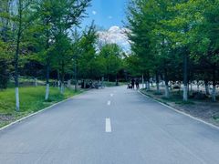 -长白岛森林公园