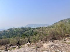 -白水寺森林公园