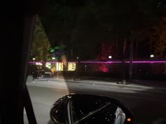 -枫花园汽车电影院(朝阳公园店)