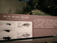 -北京周口店北京人遗址博物馆