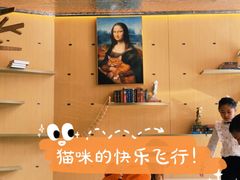 -飞行喵MR PILOT|猫舍·猫咖(静安大融城店)