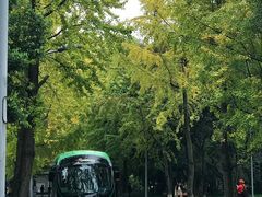 -四川大学(望江校区)