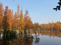 -白鹭湾湿地公园