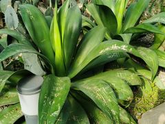 -祥源·阜阳生态乐园