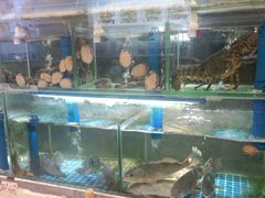 水产区-富临港·蒸汽海鲜·手抓海鲜·炒菜(栈桥店)