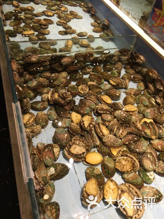 东江海鲜城(清真)--菜图片-西宁美食-大众点评网