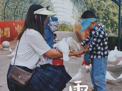 -国色天乡三期陆地乐园
