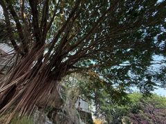 -乌山风景区